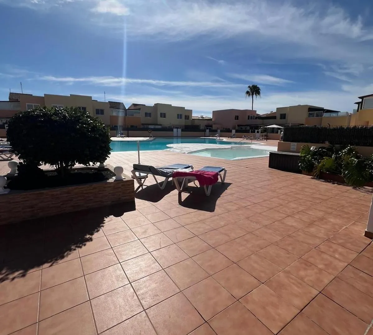 Delfin Azul Daire Corralejo