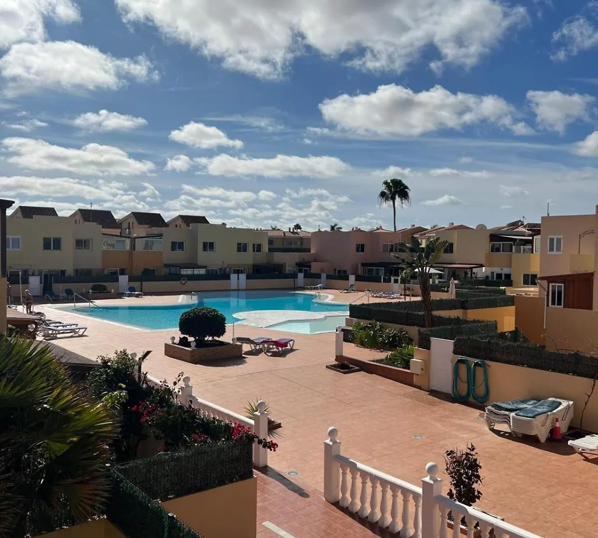 Delfin Azul Daire Corralejo